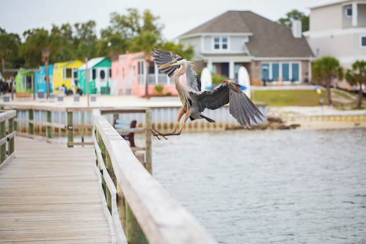 Property Grounds 84 of 96