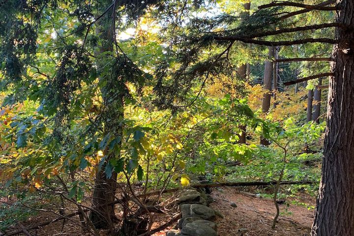 Outdoor Activities 37 of 52