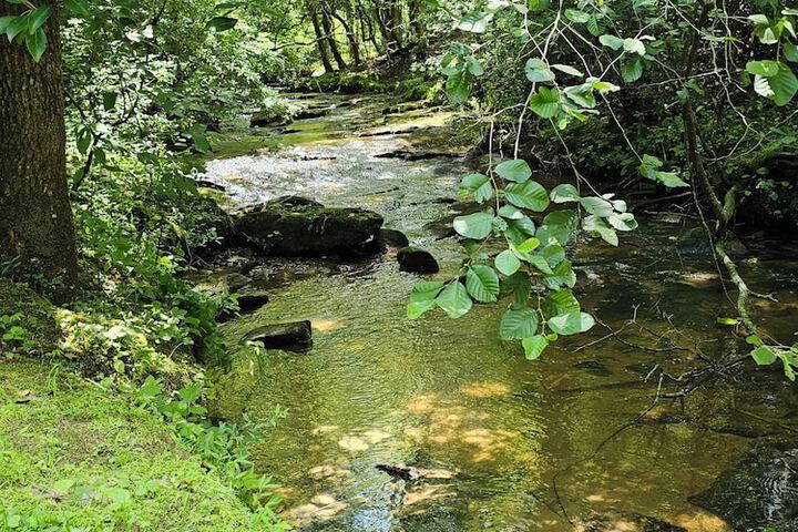 Outdoor Activities 45 of 71