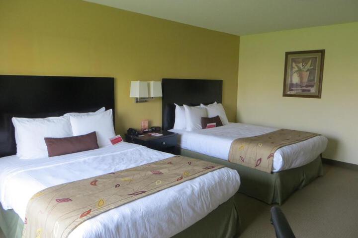 1 King Bed (1 of 7)
