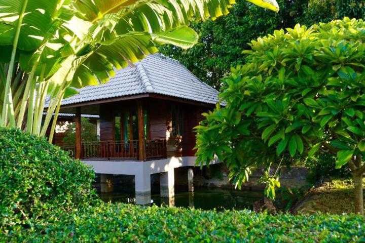 Wellness Treatments