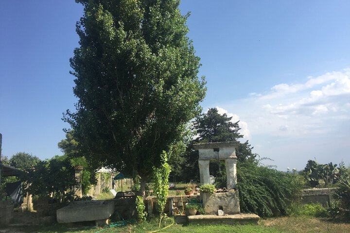 CASINO VIGNERI