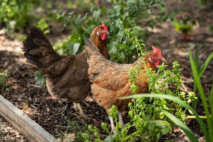 Hotel Exterior 57 of 60