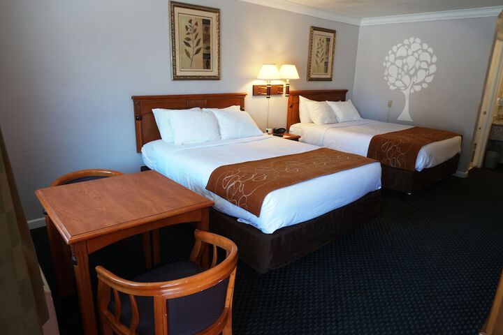2 Queen Beds (9 of 23)