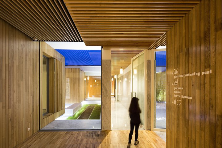 Wellness Treatments