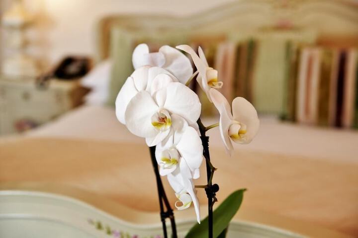 Hotel Interior 65 of 67