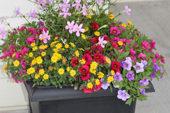 Hotel Exterior 32 of 35