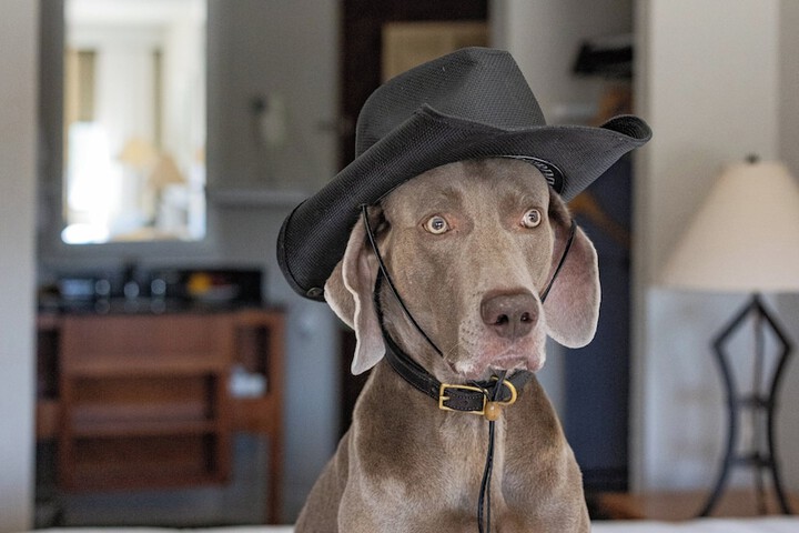 Electric vehicle charging station