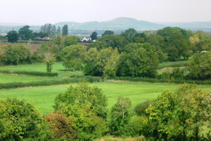 Photo 25