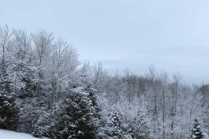 Property Grounds 33 of 52