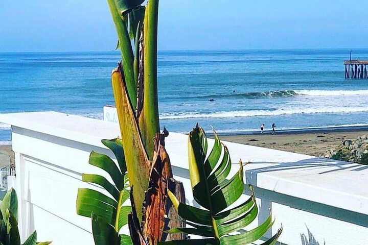 Beach 38 of 41