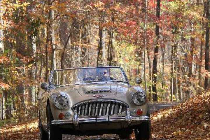 Property Grounds 84 of 91