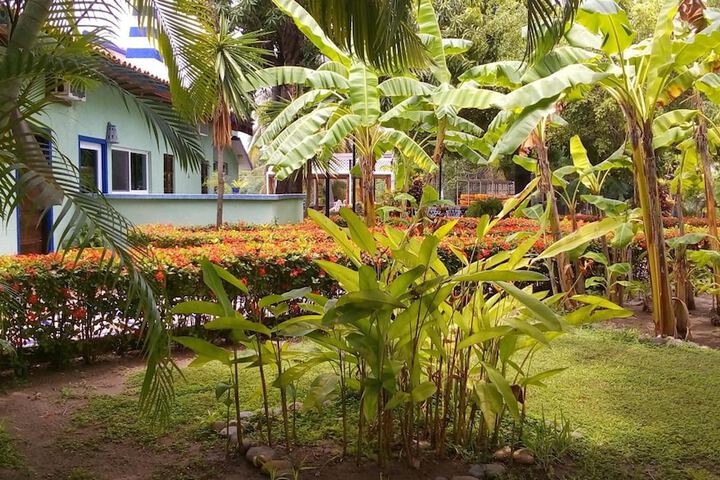 Property Grounds 40 of 58