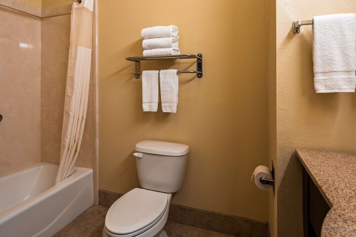 Bathroom Interior Photo