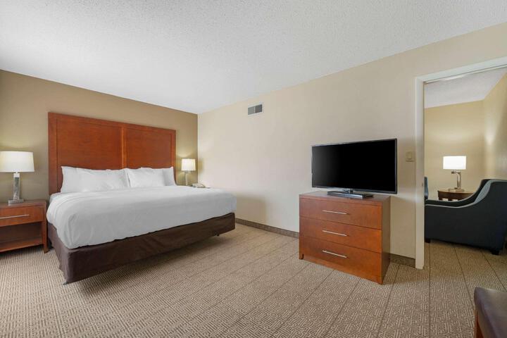 Standard King Bed Accessible (3 of 18)