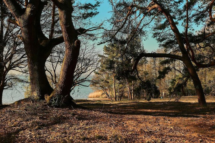 Property Grounds 32 of 54