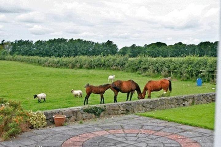 Beechgrove Farmhouse