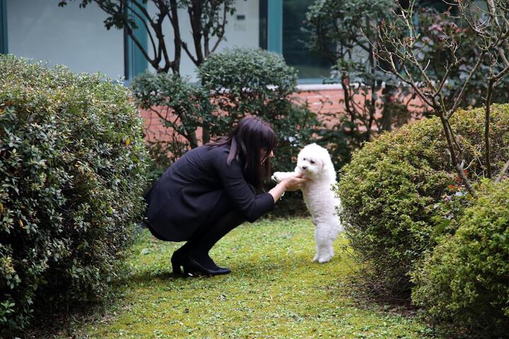 Pet-friendly