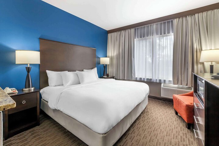 Suite Accessible King Size Bed (6 of 8)