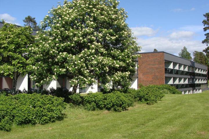 Photo 29