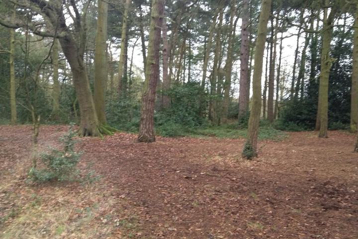 Property Grounds 26 of 28