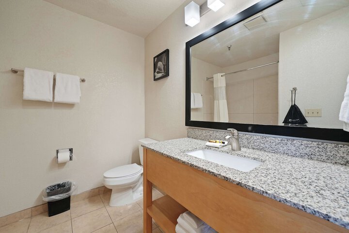 1 King Bed Business Desk Microwave and Refrigerator High Speed Internet Accessible Safe (11 of 20)