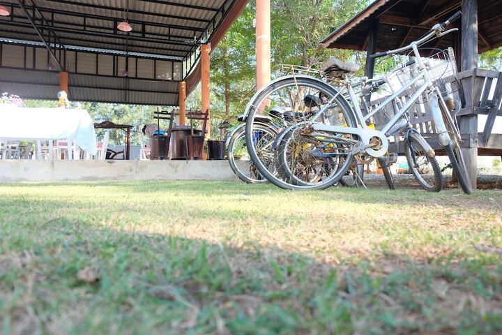 Outdoor Activities 15 of 21