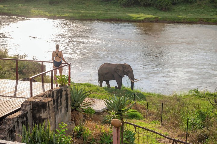 Game viewing
