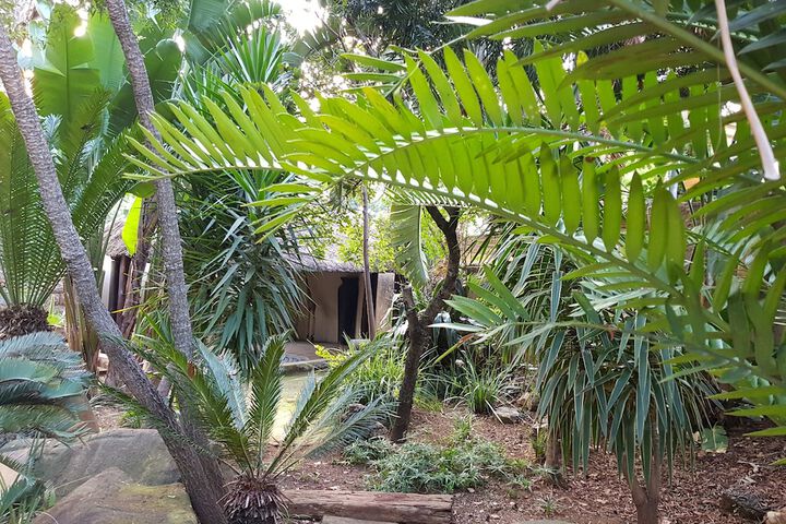 Property Grounds 54 of 57