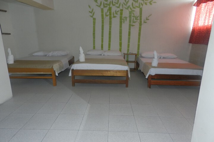 Room 3 of 65