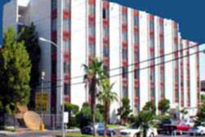Image of Golden Palm Casino