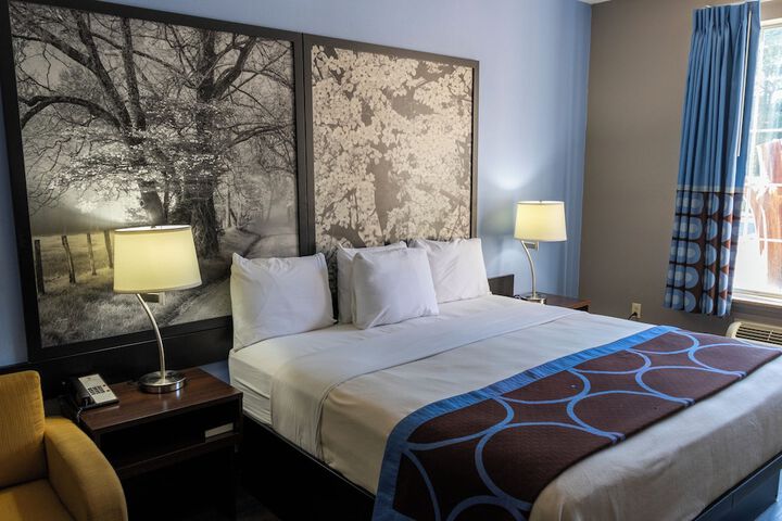 1 King Bed (28 of 33)