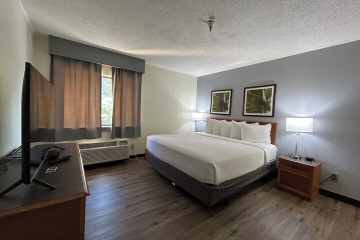 1 King Bed (6 of 13)