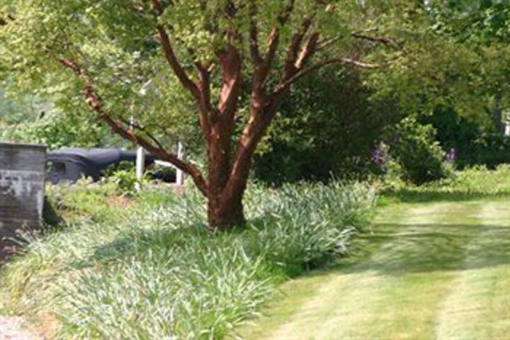 Property Grounds 16 of 20
