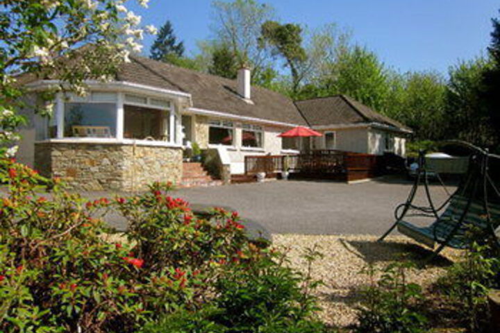 Pine Forest House