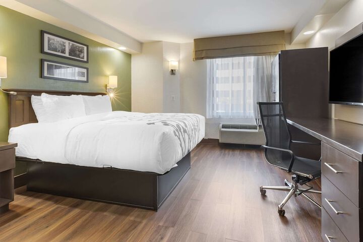 2 Queen Beds (2 of 15)