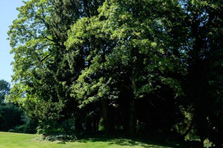 Photo 18