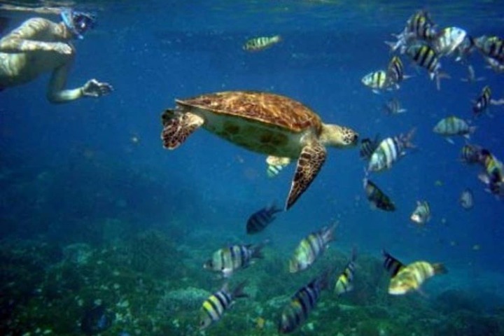 Water Sports 65 of 109