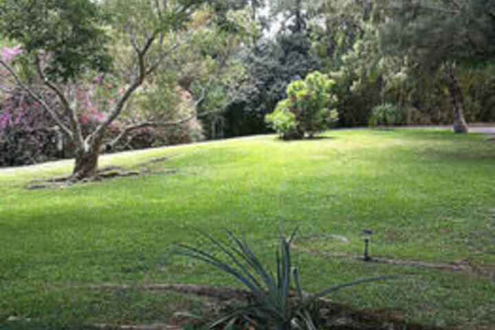 Property Grounds 48 of 60