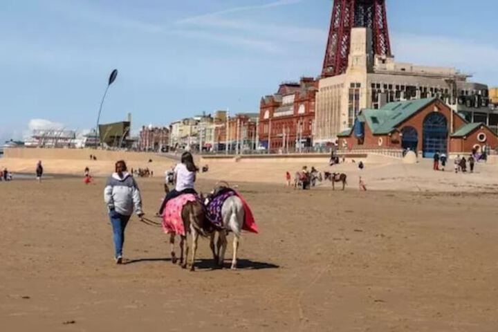 Beach 65 of 72