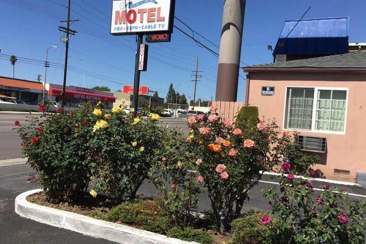 Image of CINEMA MOTEL