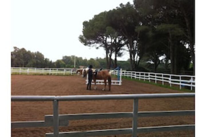 Horseback riding