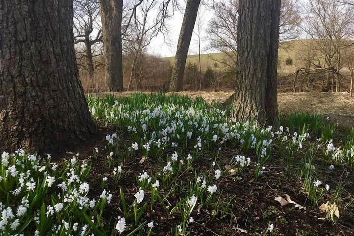 Hotel Exterior 77 of 85