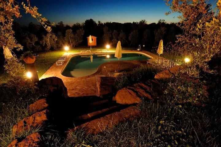 Hotel Pool
