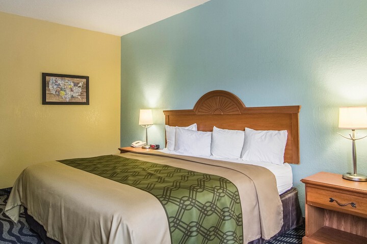 1 King Bed (6 of 9)
