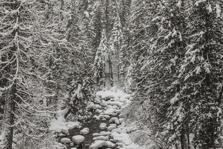 Outdoor Activities 255 of 292