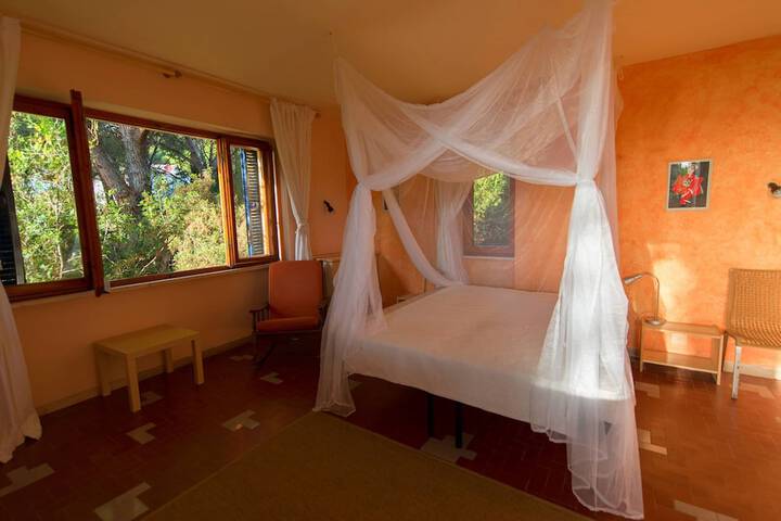 Room 5 of 39
