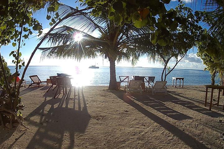 Beach 55 of 60