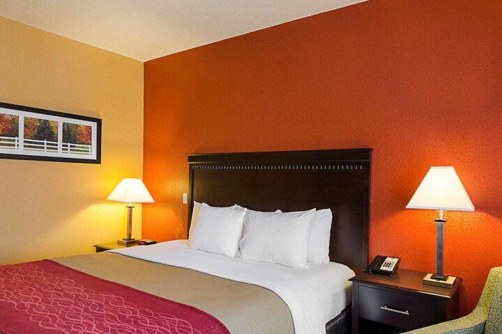 Suite King Bed Accessible (5 of 7)