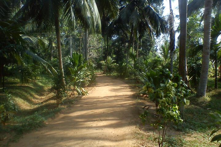 swarna home stay